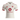 Phoenix Rising Away 26 27 - front